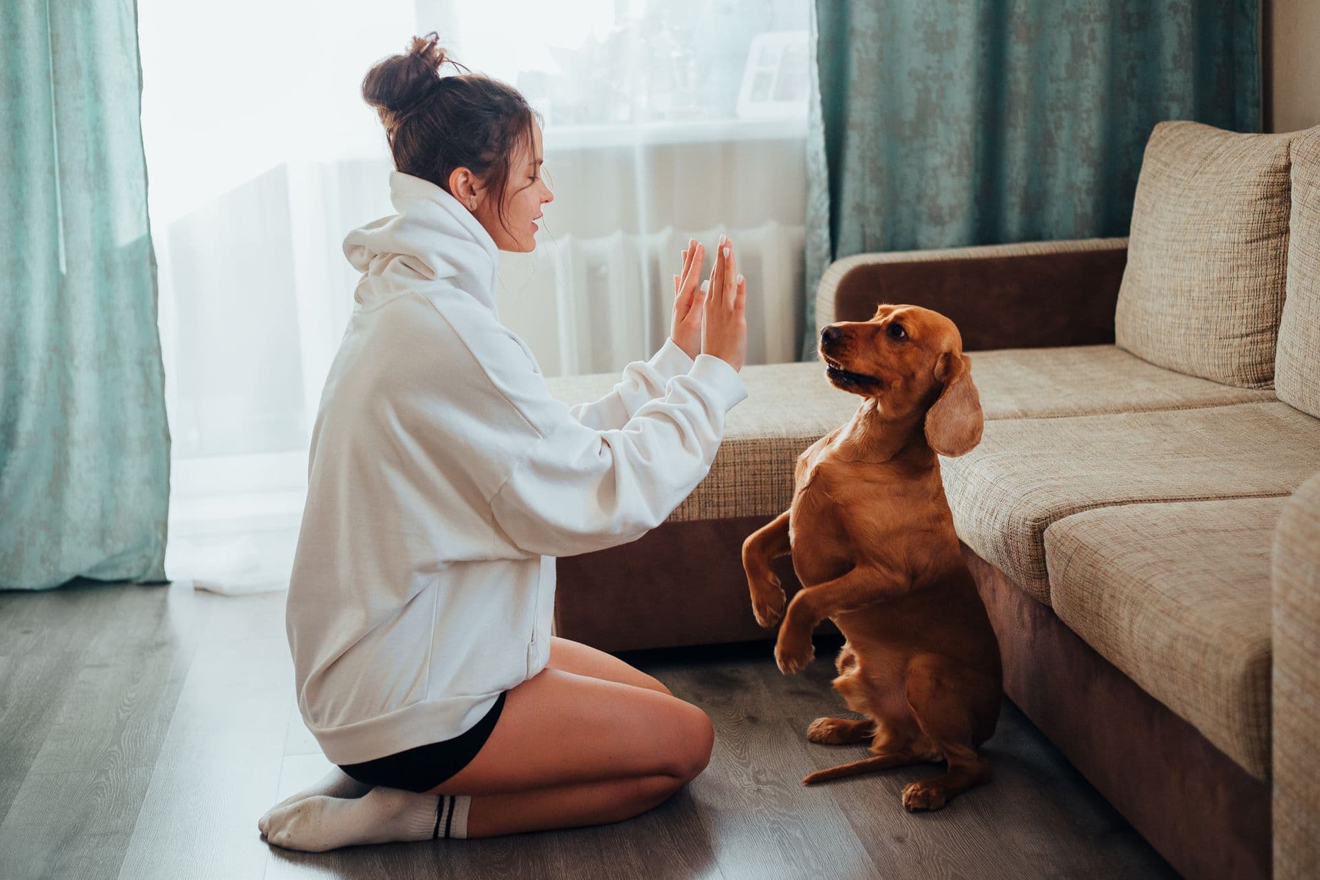 A woman high-fiving her happy dog during a training session at home