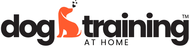 Dog Training At Home