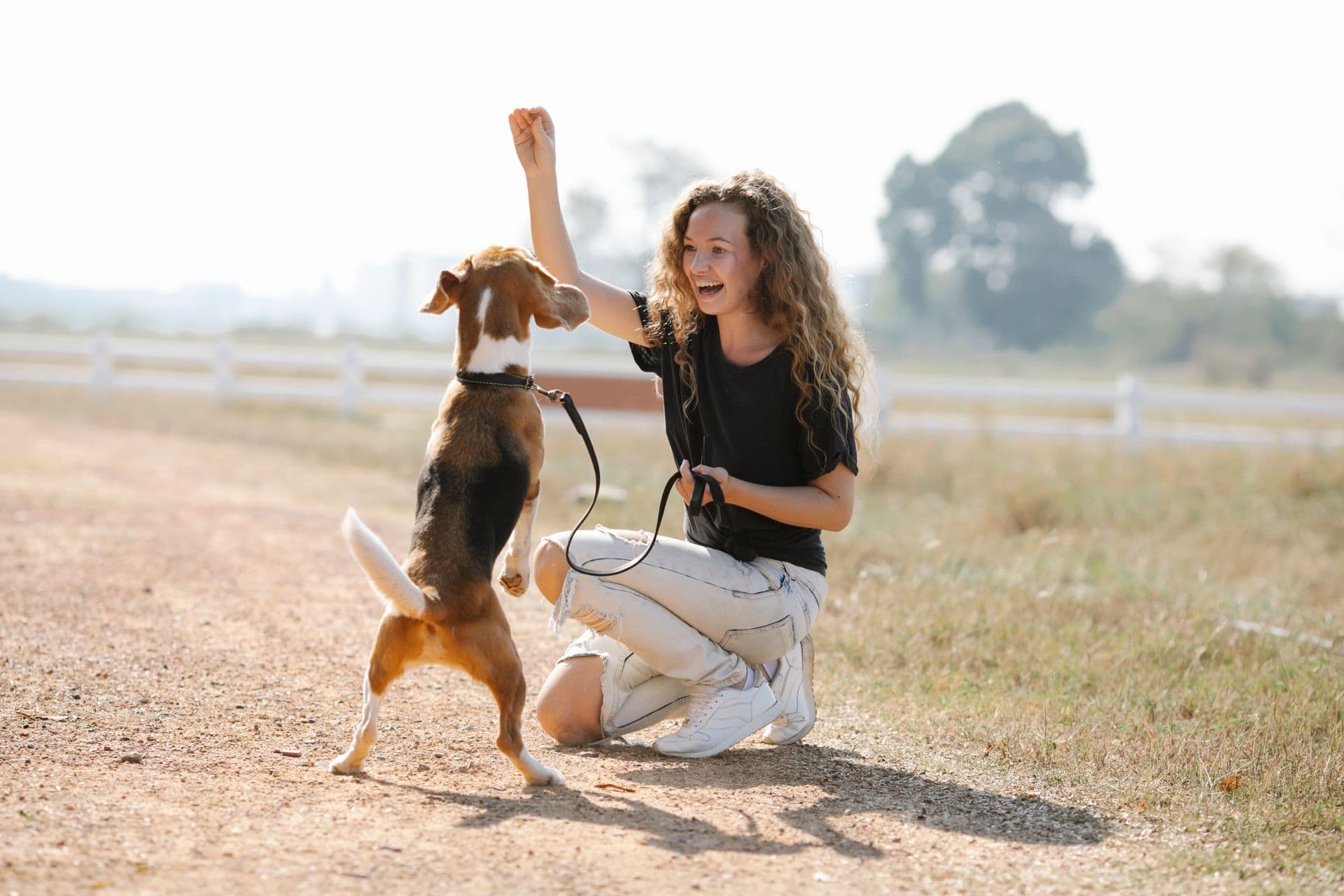 An owner rewarding their dog during a home training session
