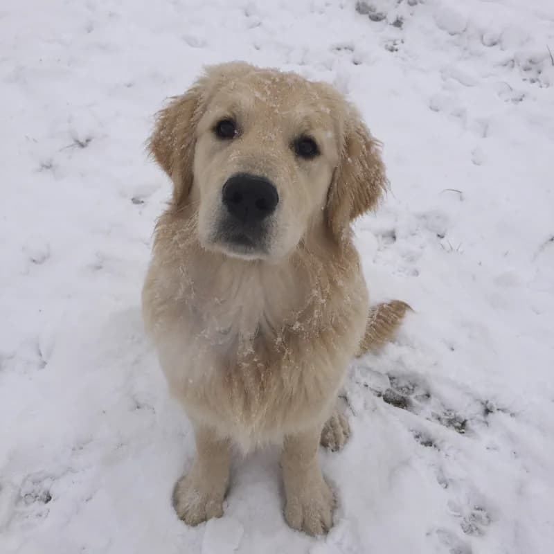 Barnaby