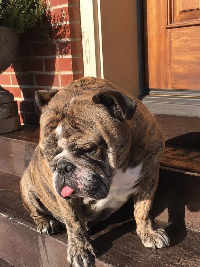Franklin