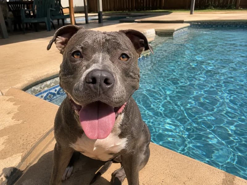 Jax